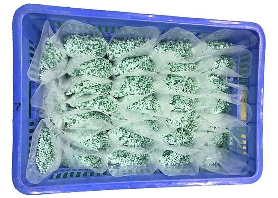 주문 한계 경미하 그린 120 급 2.5 밀리미터 나일론 케이블 묶음 online manufacture